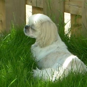 Meet your Posher, Vicky